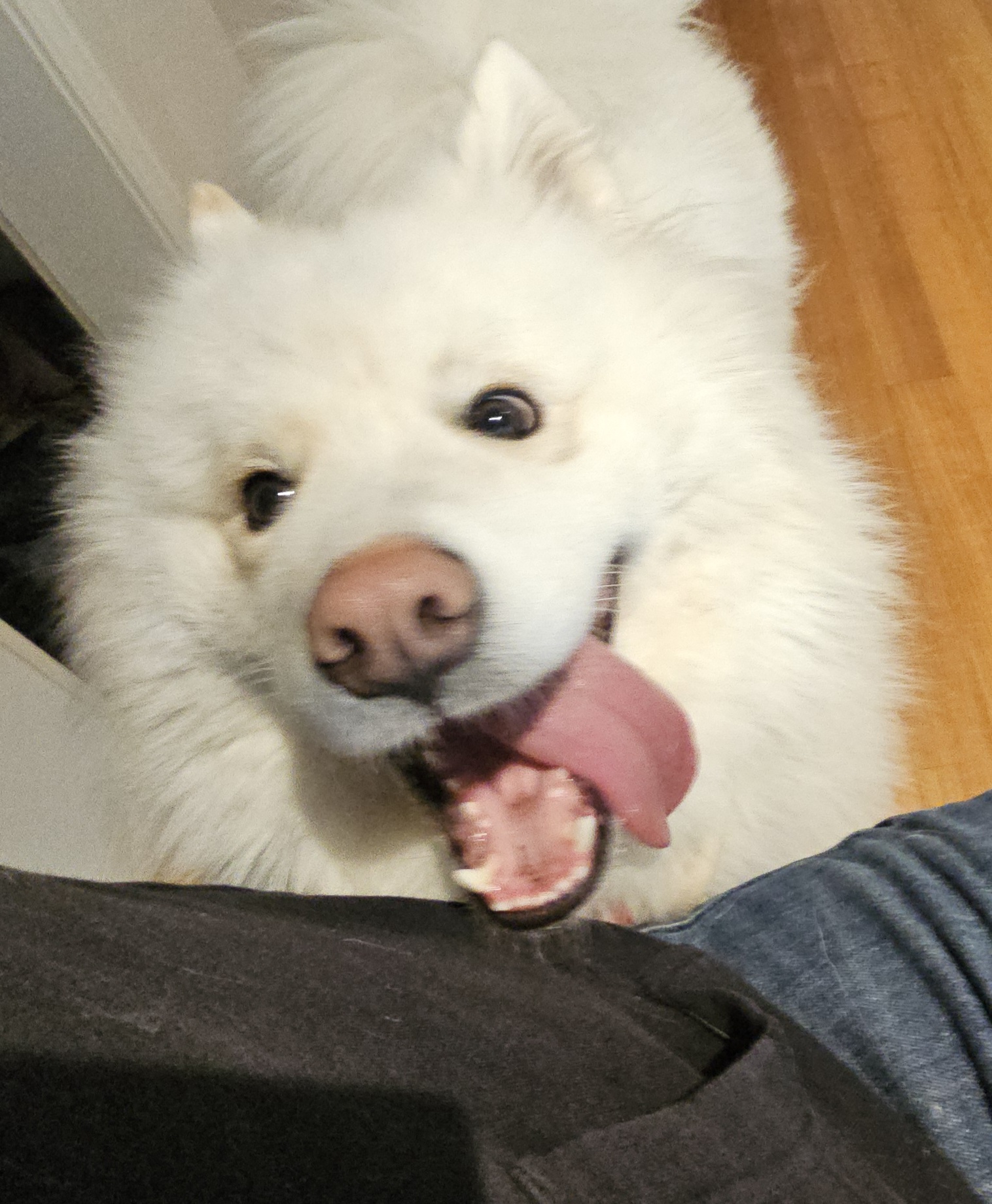 Benji