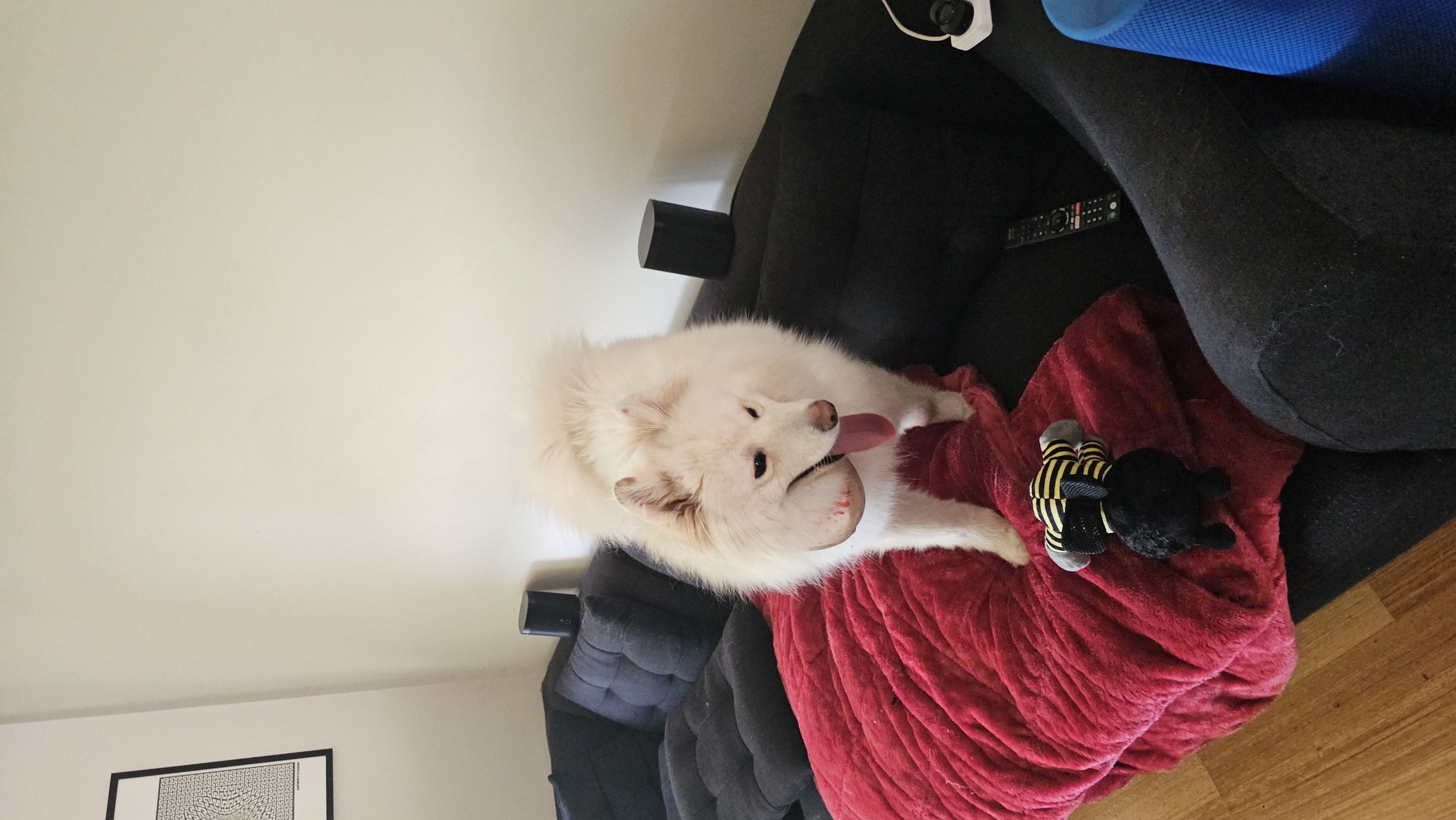 Benji