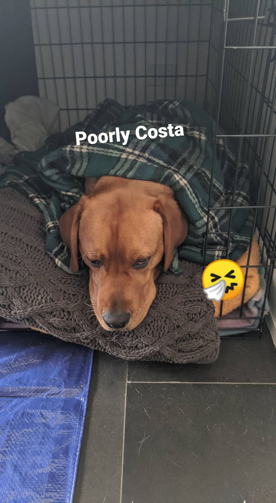 Costa