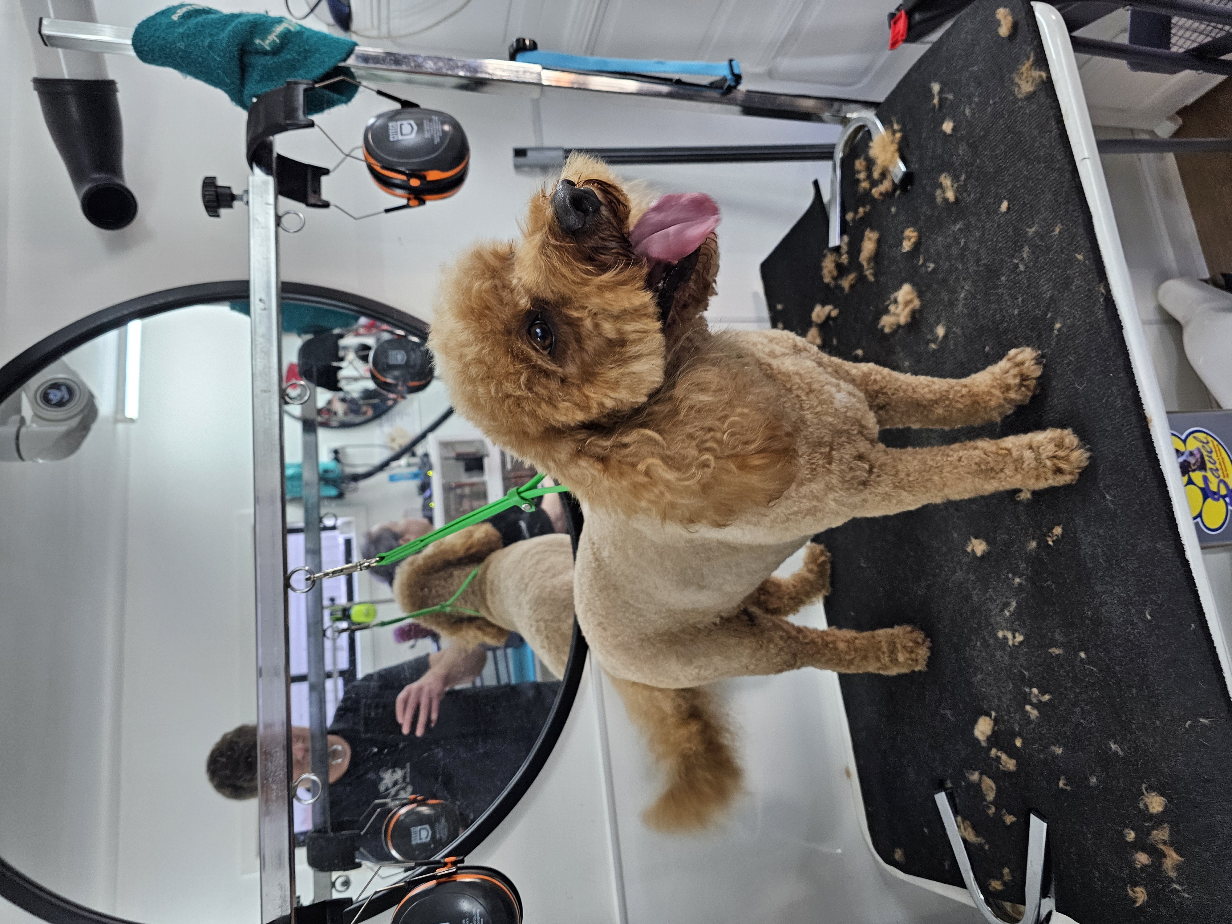 Grooming